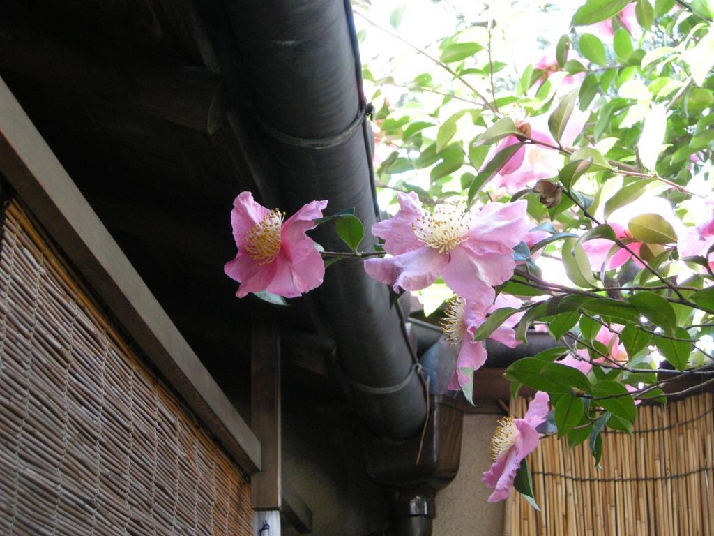 Guesthouse Itoya Kioto Zewnętrze zdjęcie